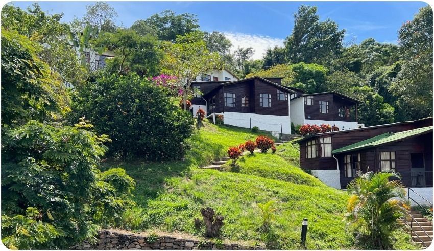 Cabañas de madera enclavadas en una colina cubierta de hierba, rodeadas de exuberante vegetación bajo un cielo azul.