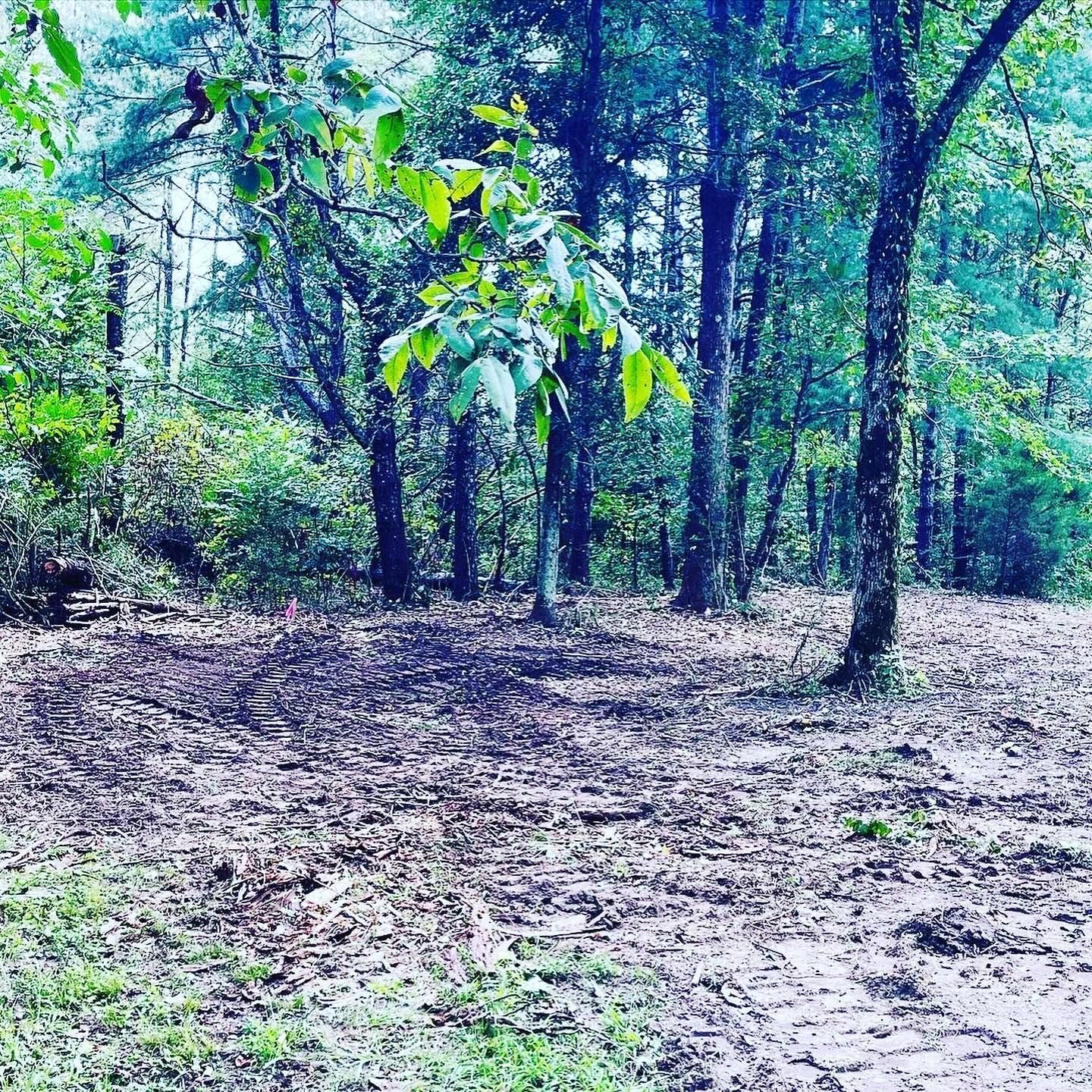 A dirt path in the middle of a forest surrounded by trees.