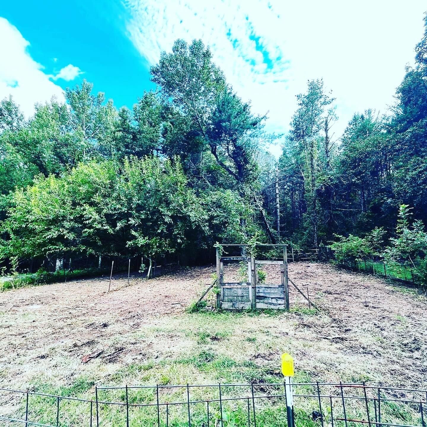 A wooden gate is in the middle of a field surrounded by trees.