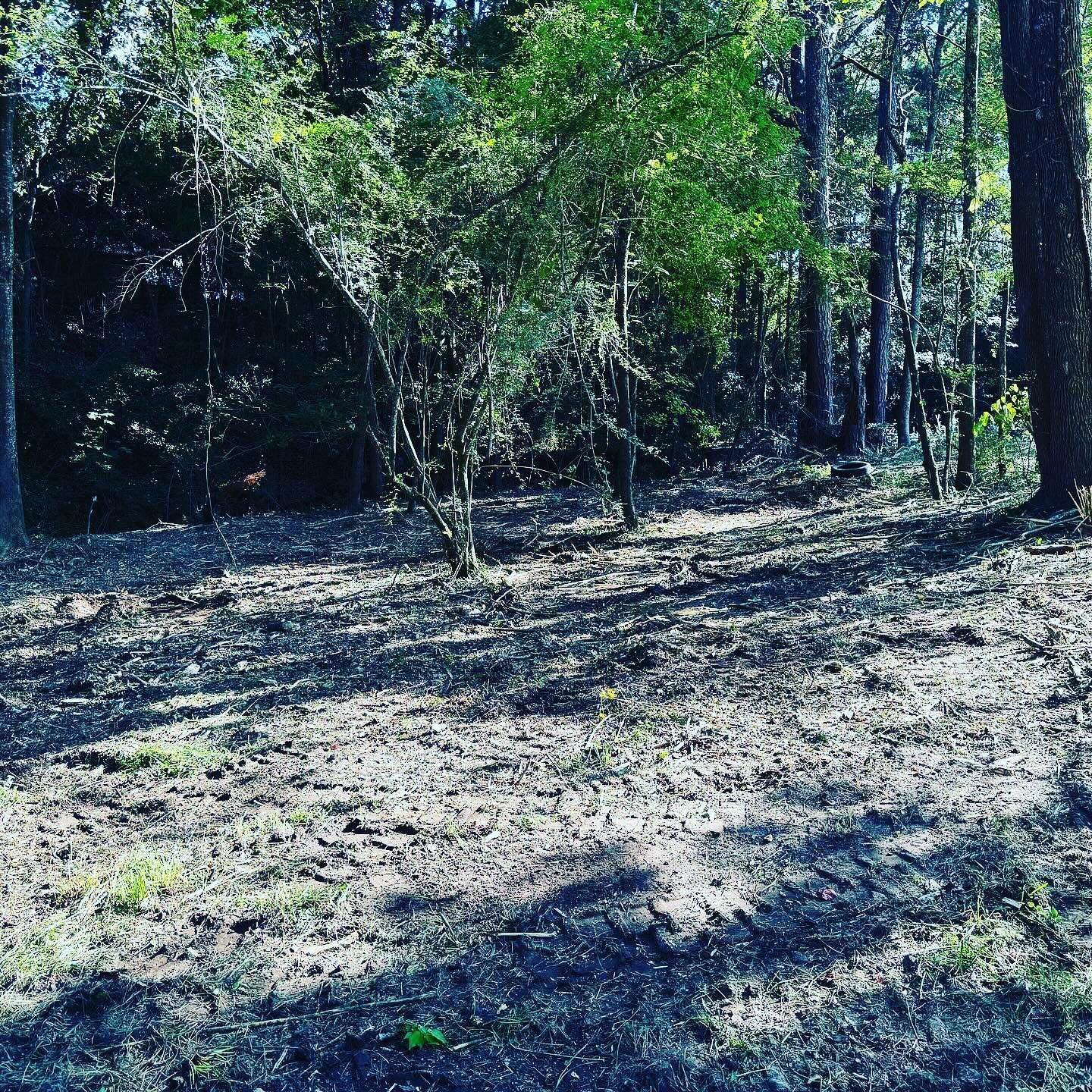 A dirt field in the middle of a forest with trees in the background