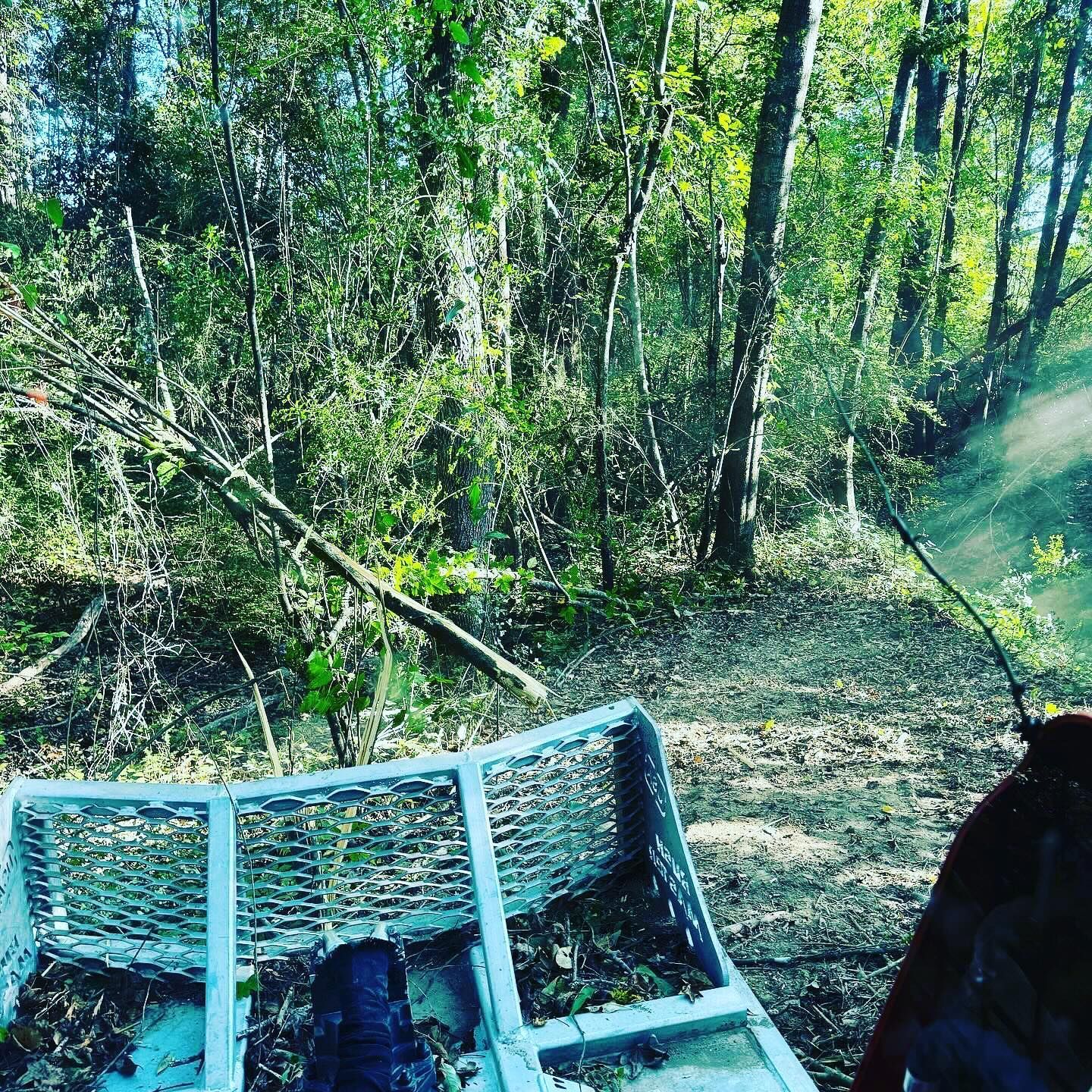A bear is standing next to a fence in the woods.