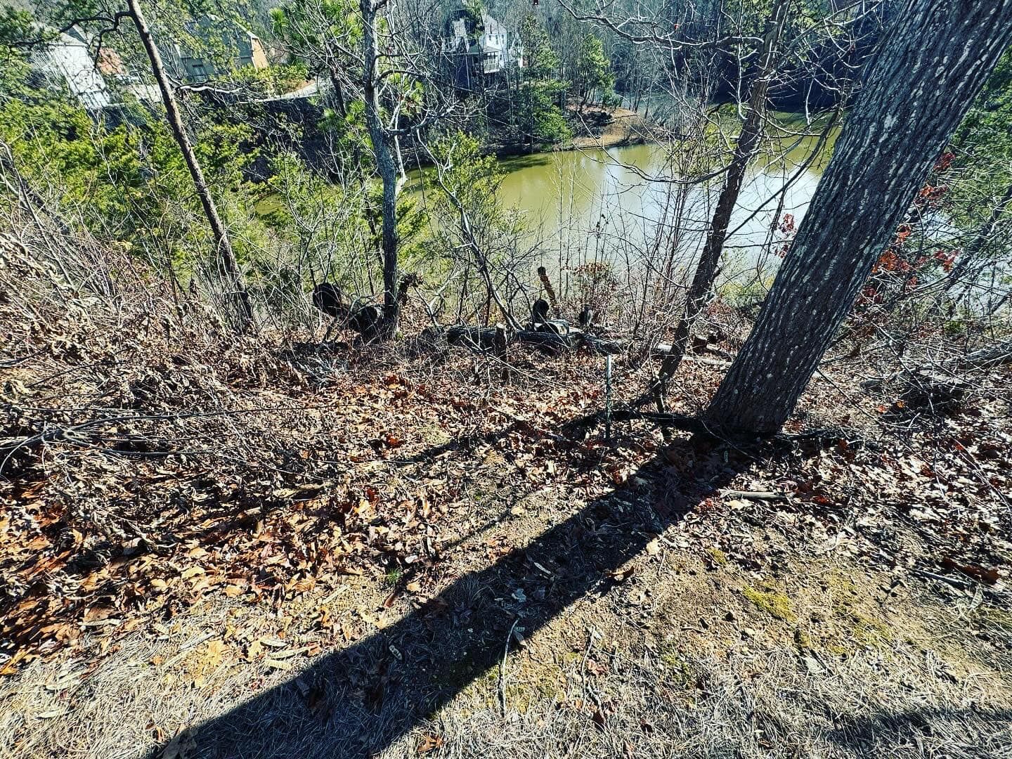 A shadow of a tree is cast on the ground near a river.