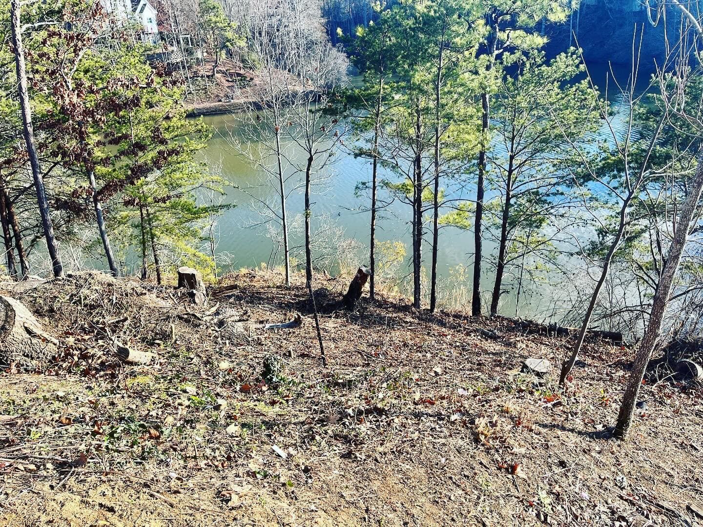 A lake surrounded by trees and leaves in the middle of a forest.