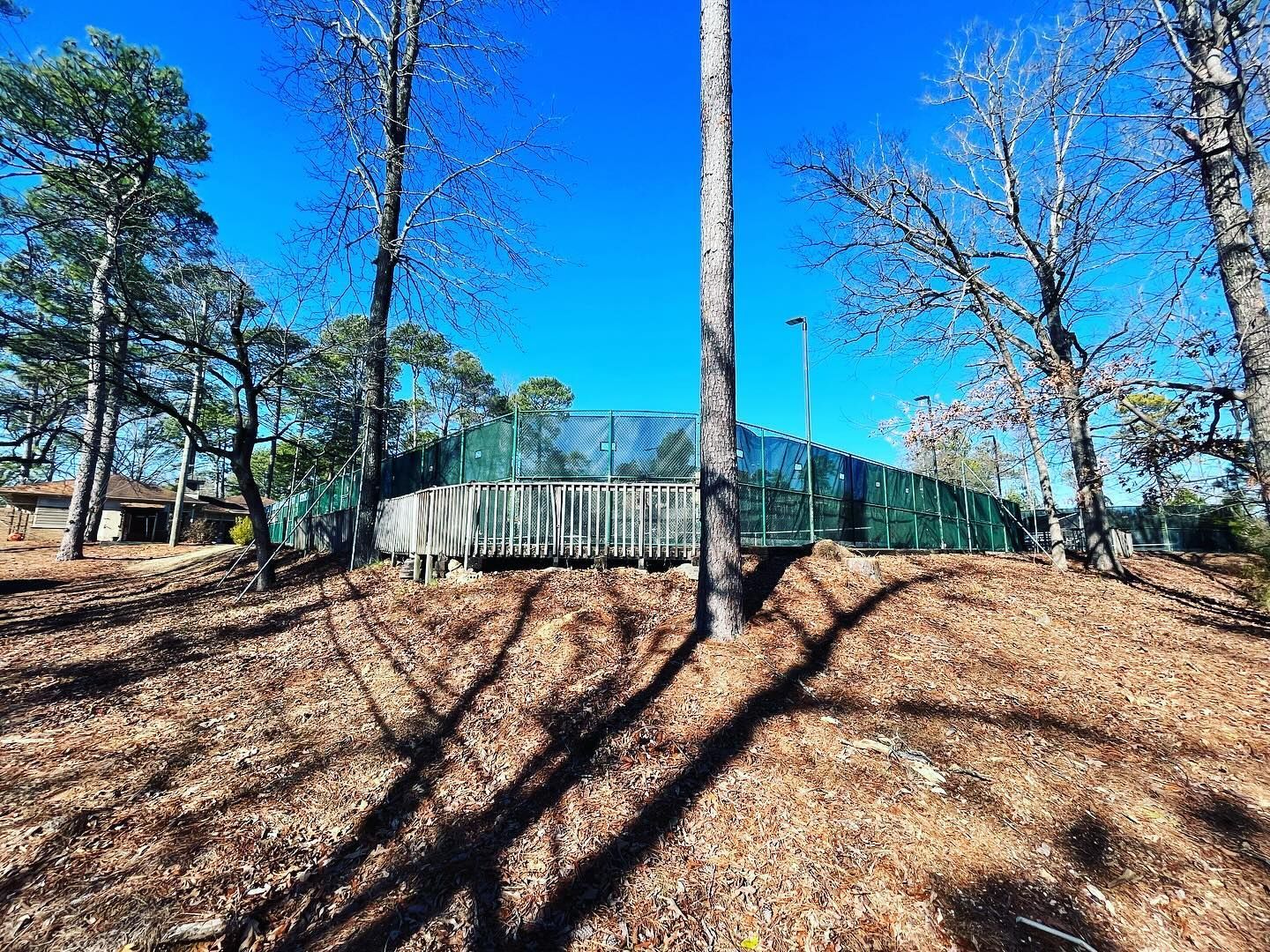 A tennis court is surrounded by trees in a park on a sunny day.