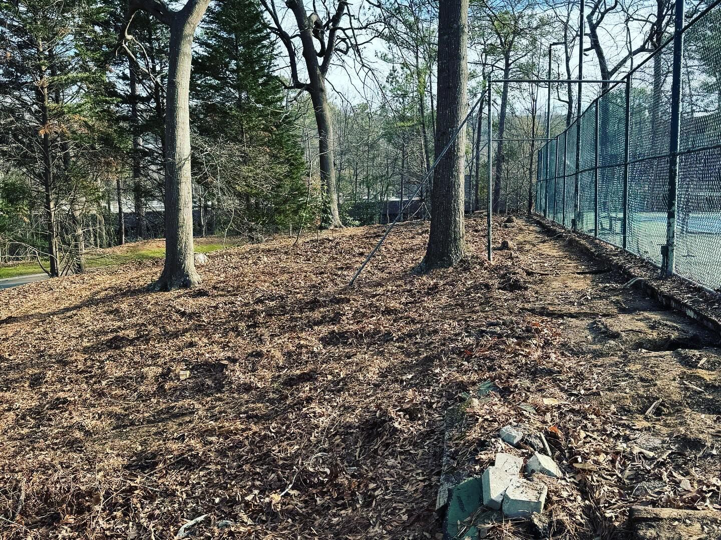 There is a fence in the background and a lot of leaves on the ground.