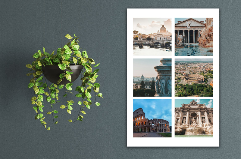 Wall-mounted plant beside a white-framed photo collage of city scenes on a gray wall