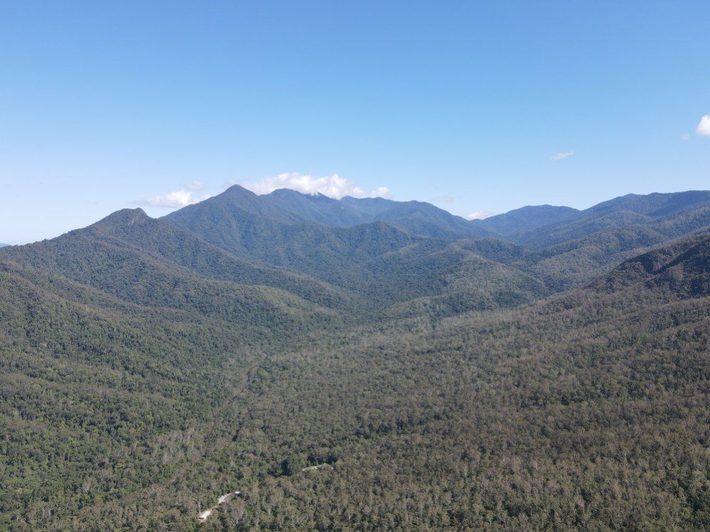 Forested Mountains Under a Clear Blue Sky — Cairns Earthmoving Solutions In Holloways Beach, QLD