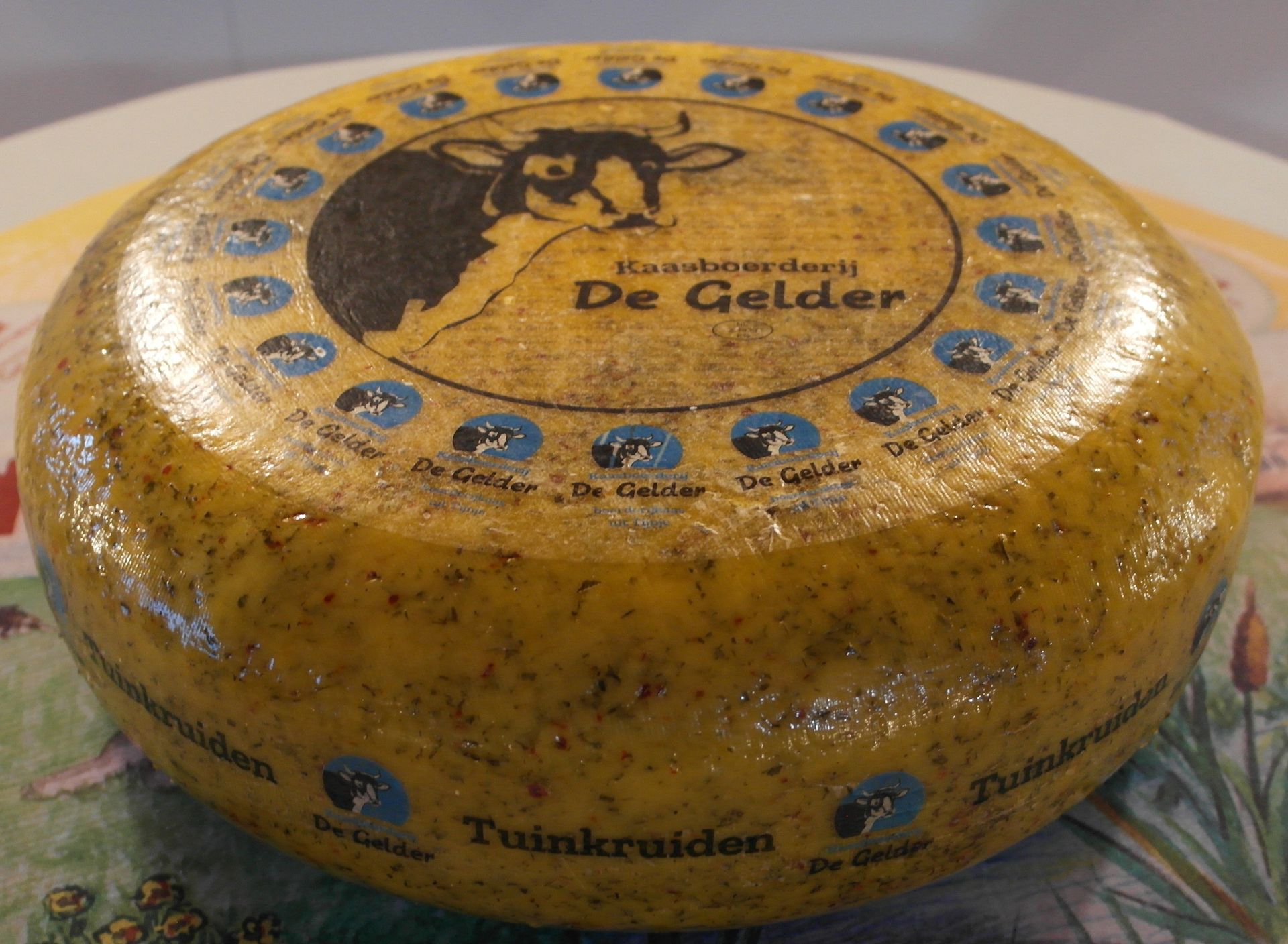 Runder, gelber Käselaib mit Kuh-Logo und der Aufschrift "De Gelder".