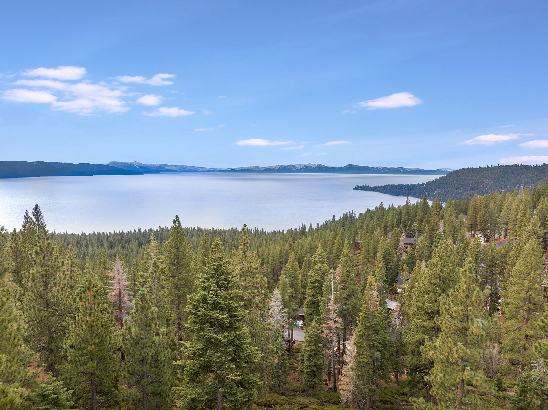 an aerial view of a lake surrounded by trees on a sunny day