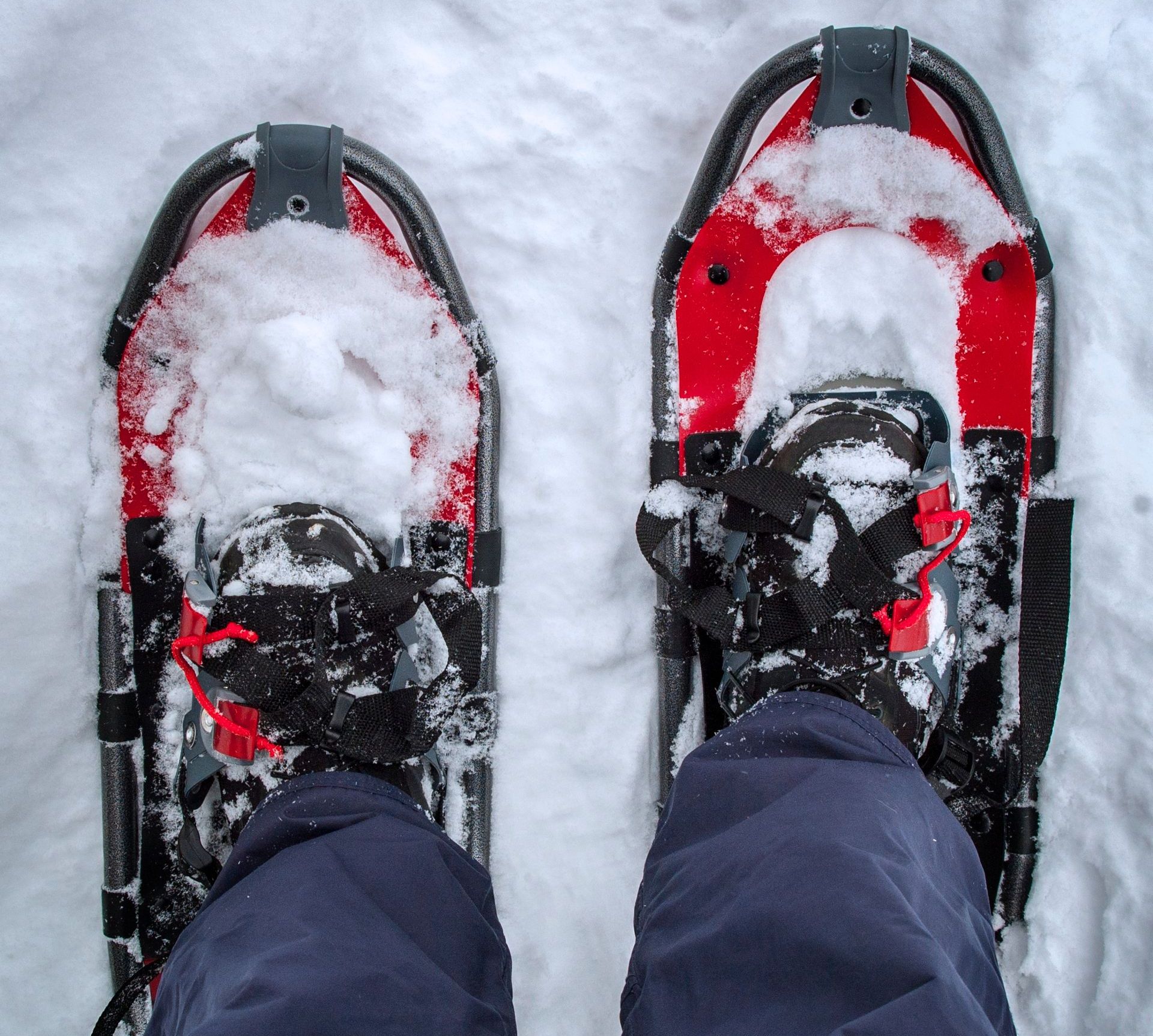 A person wearing a pair of snowshoes in the snow