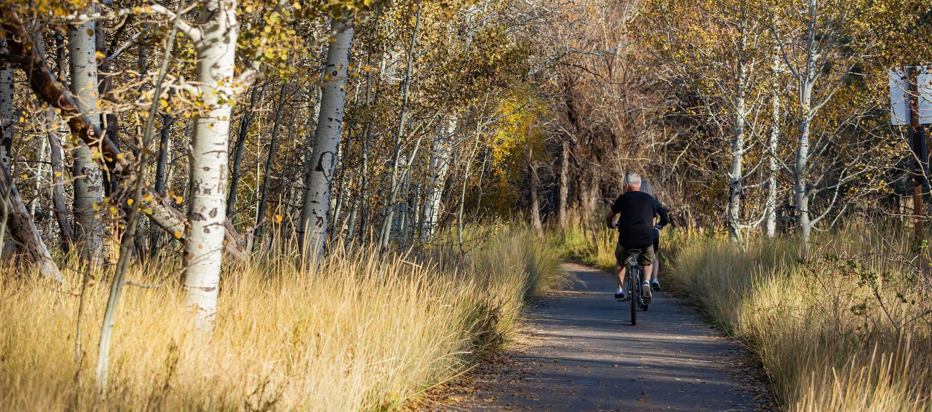 A man is riding a bike down a path in the woods.