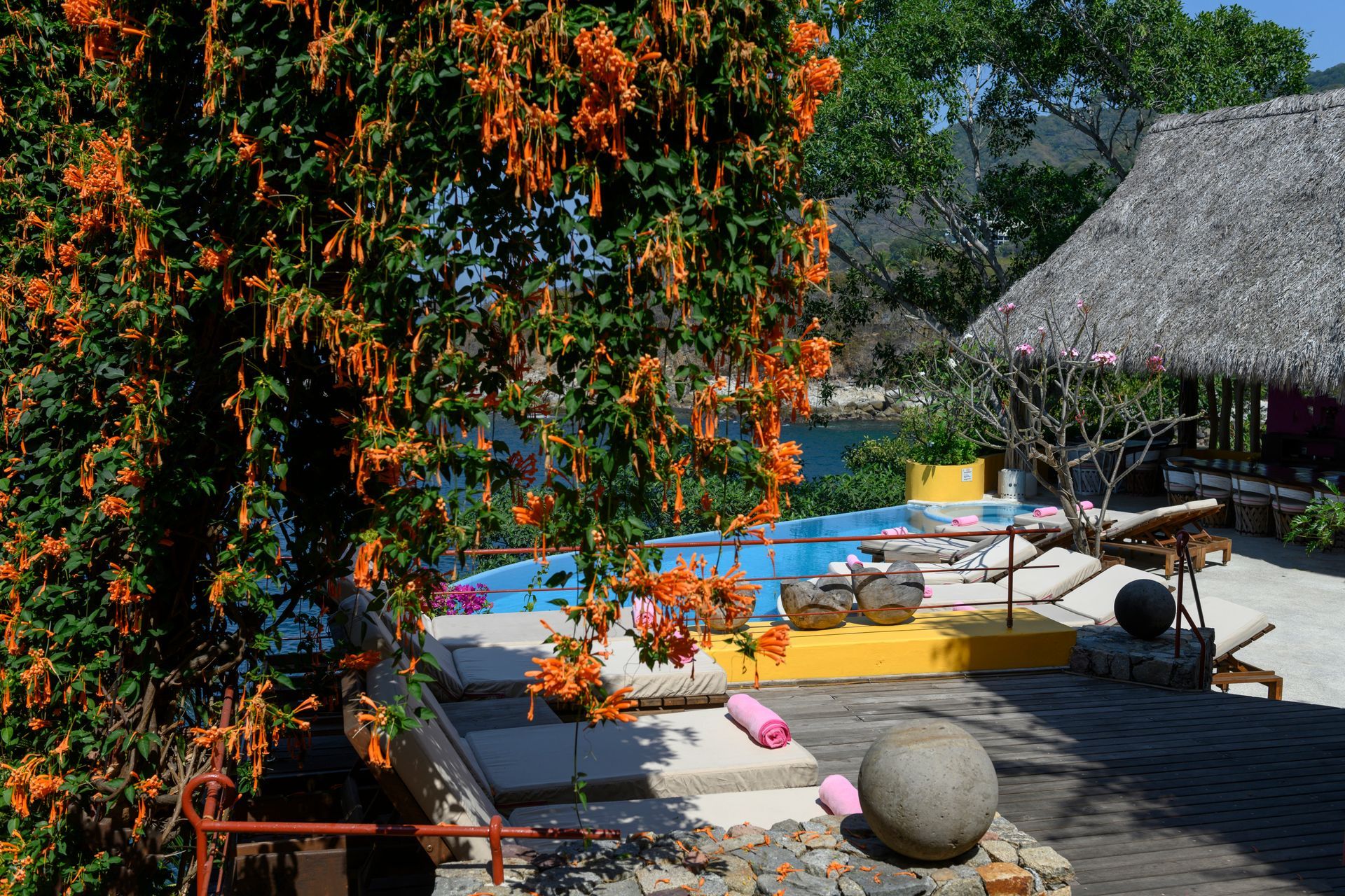 a swimming pool surrounded by chairs and a tree with orange flowers