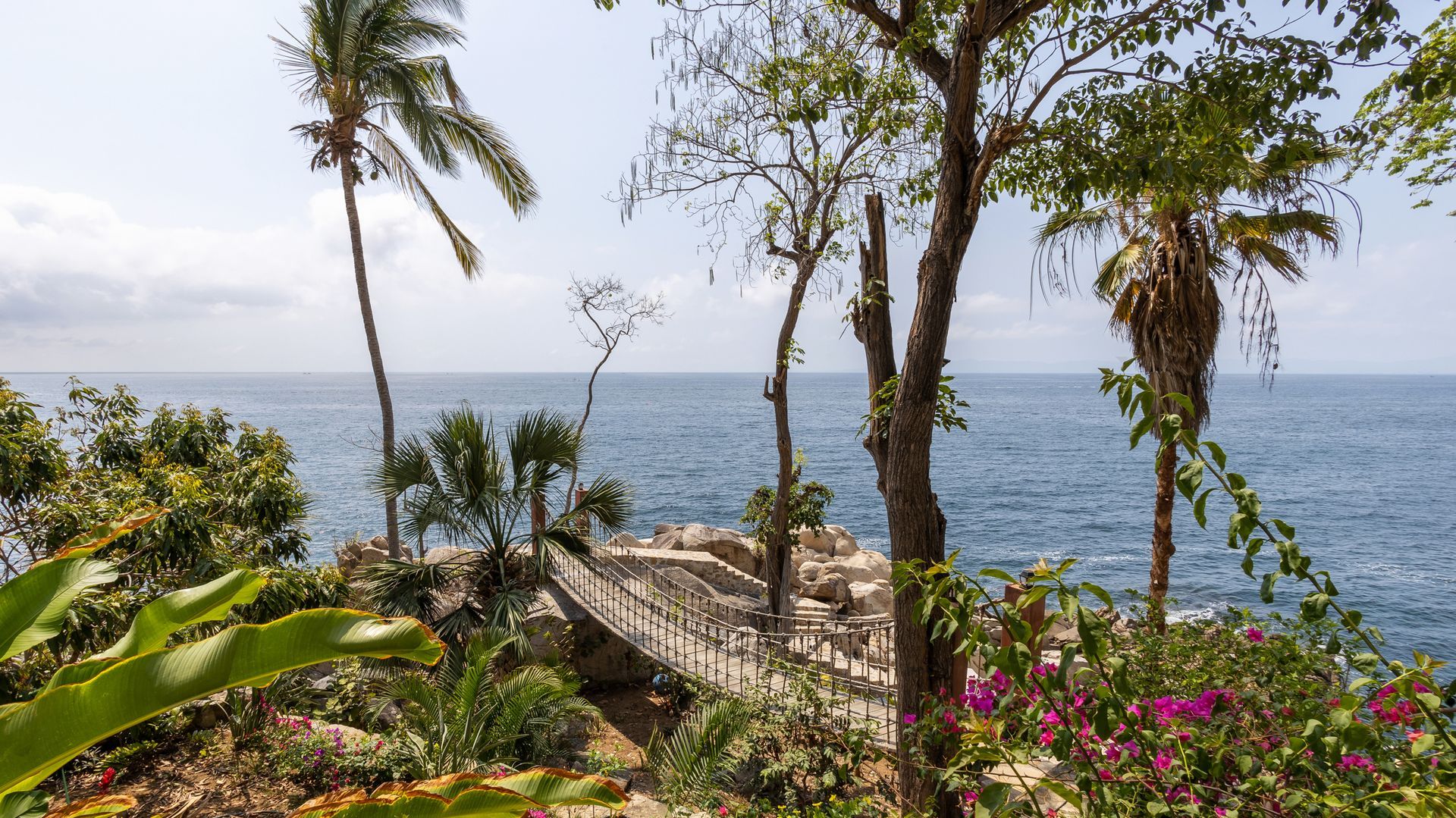 a view of the ocean from a cliff with palm trees and flowers