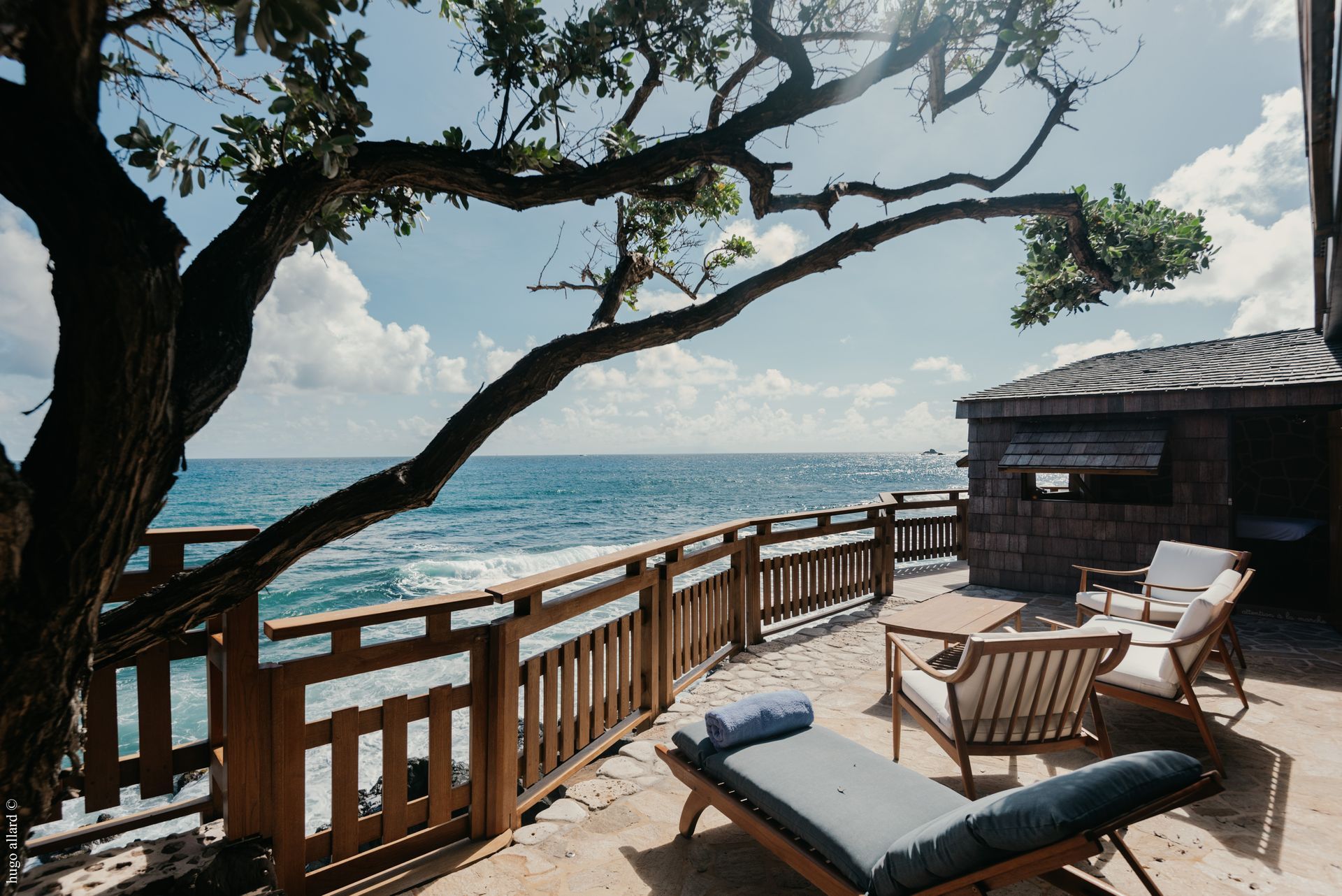a deck with chairs and a tree overlooking the ocean