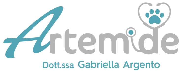 Gabriella Argento logo