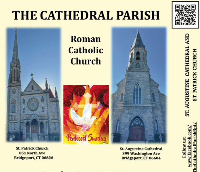 Descargar Boletin PDF