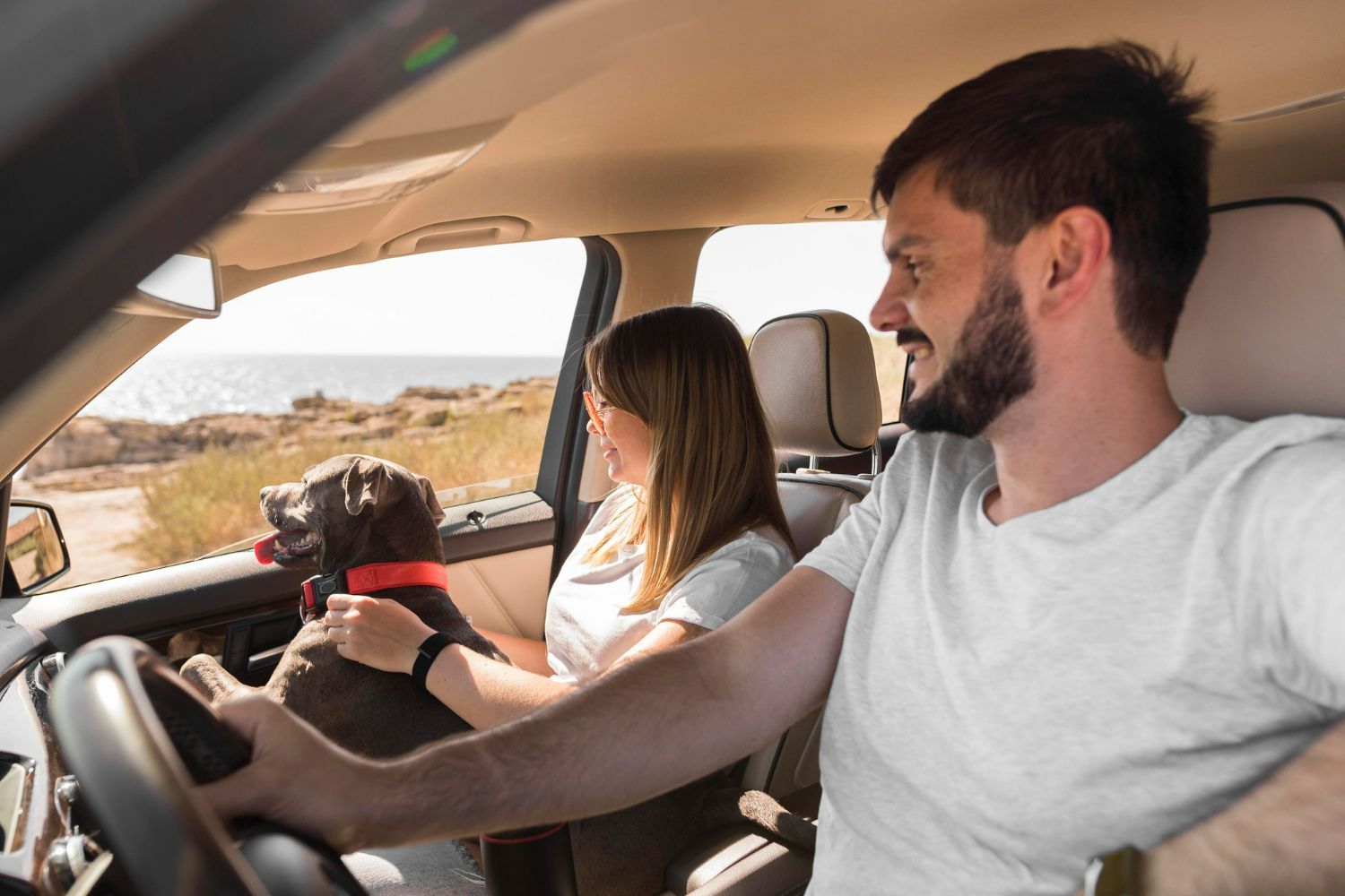 Couple and dog in car, looking out window. Man driving, woman petting dog in front seat.