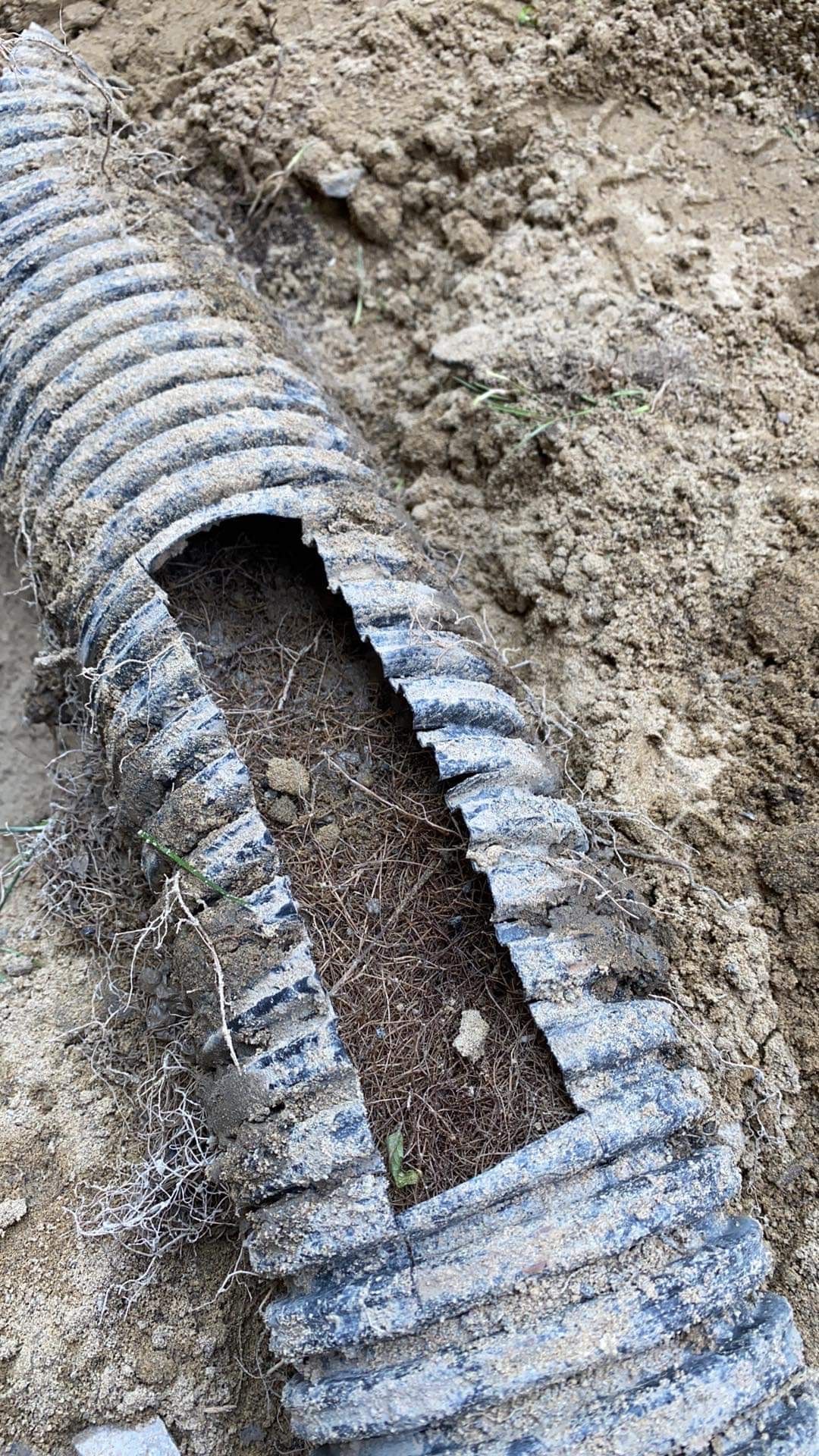Un gros plan d'un tuyau d'évacuation dans la terre.