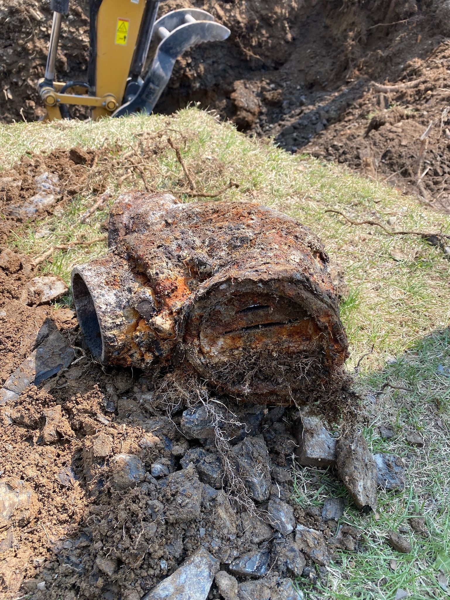Un gros morceau de bois est posé sur un tas de terre.