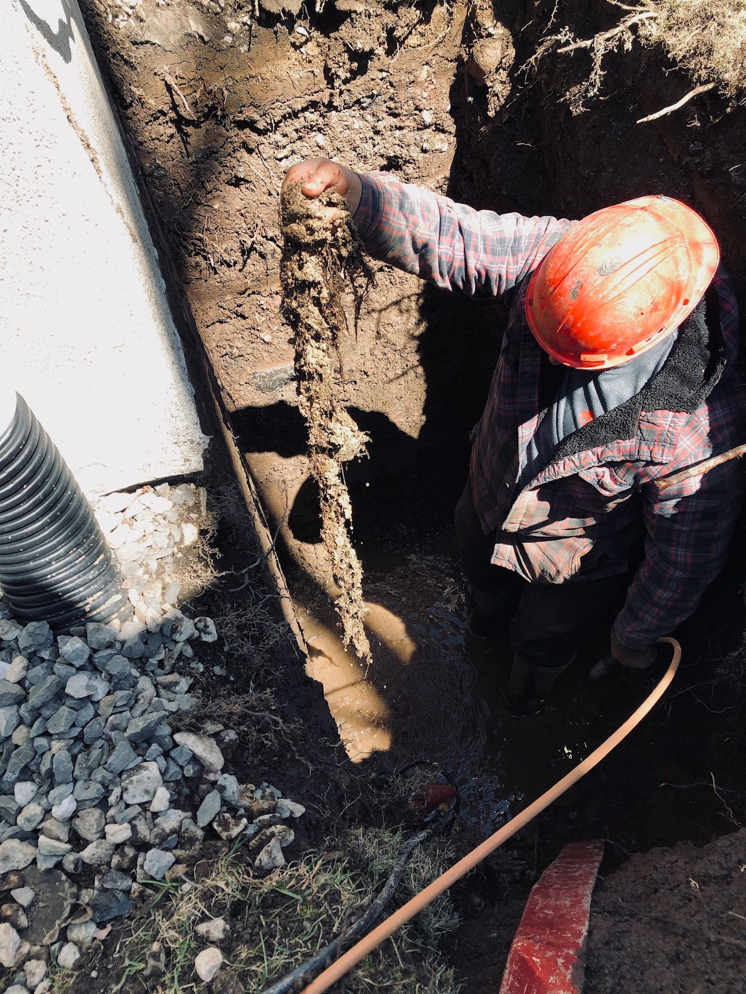 Regardant un grand bâtiment avec un ciel bleu en arrière-plan