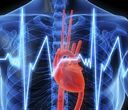 Torso umano con cuore rosso e onda ECG, blu e bianca, concetto medico.