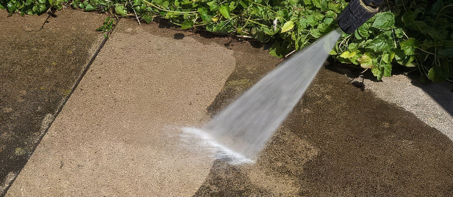 Pressure washing a concrete surface, half clean and half dirty, with green foliage in the background.
