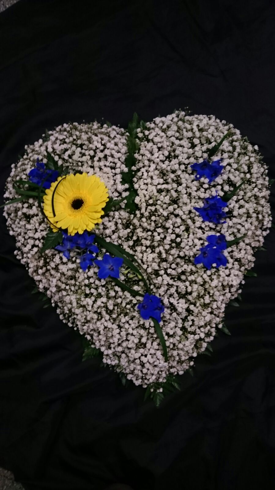 Garden Spray - From £50