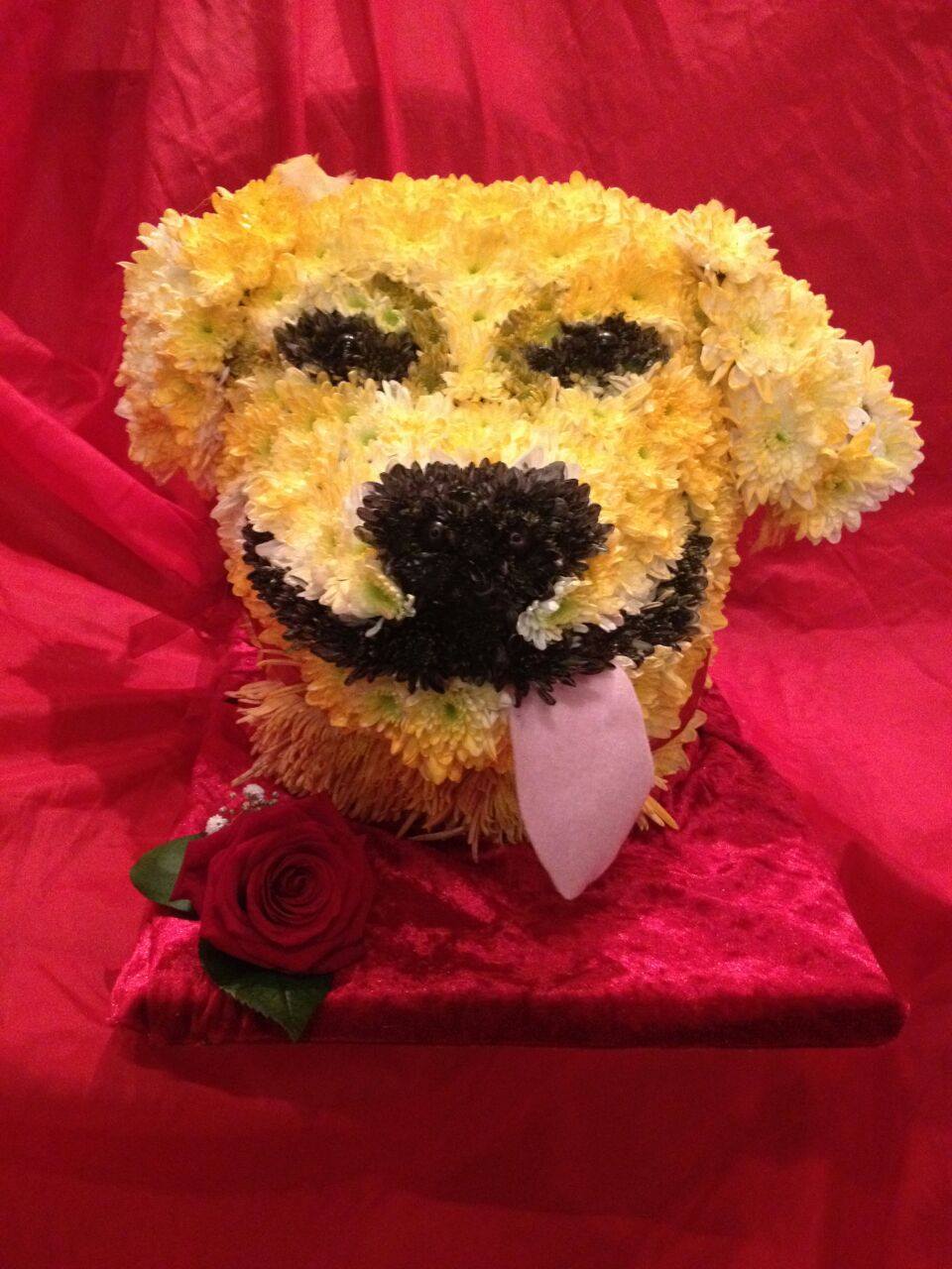 Garden Spray - From £50