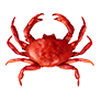 A red crab is sitting on a white surface.