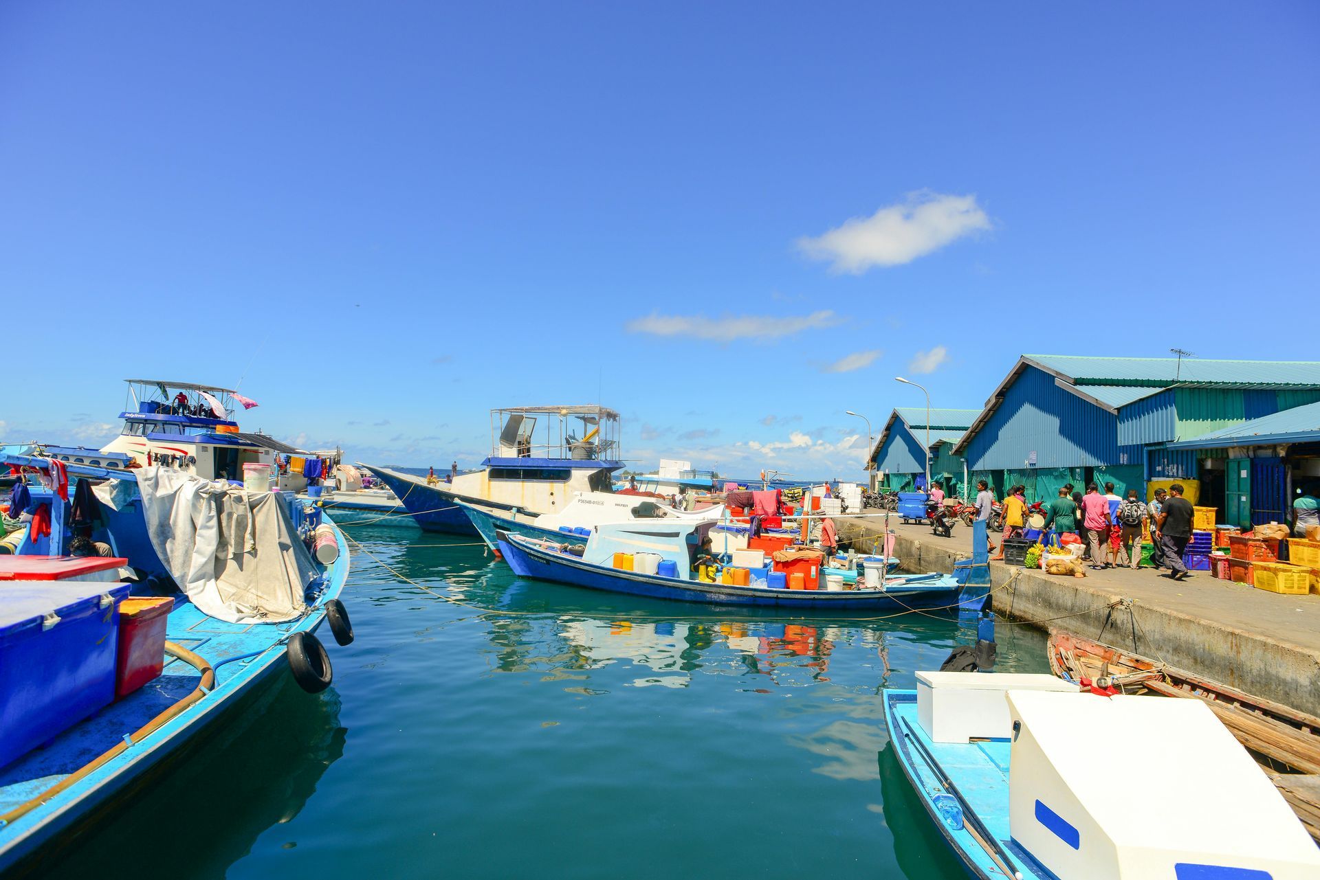 A group of boats are docked in a harbor