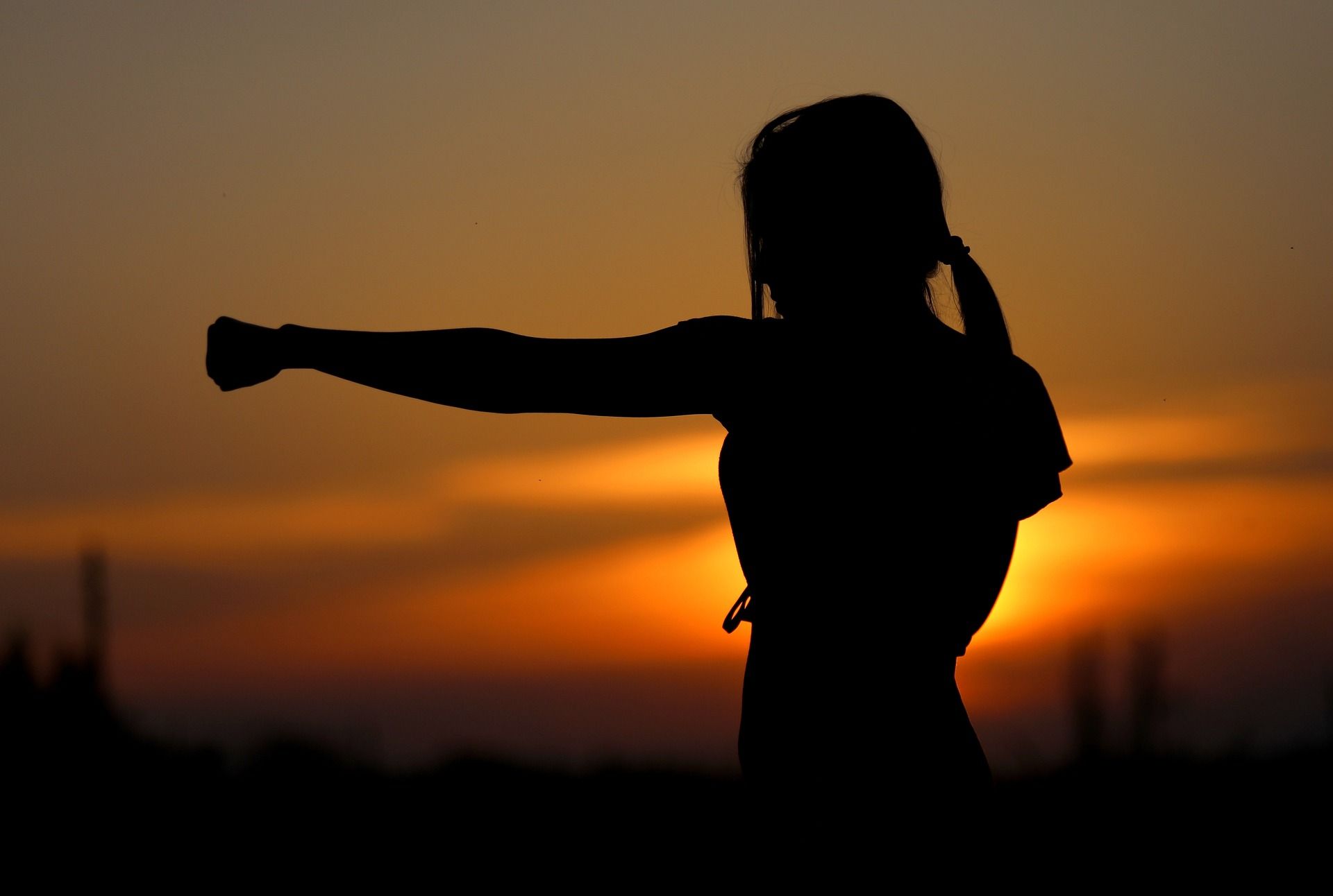 A silhouette of a woman with her fist in the air at sunset