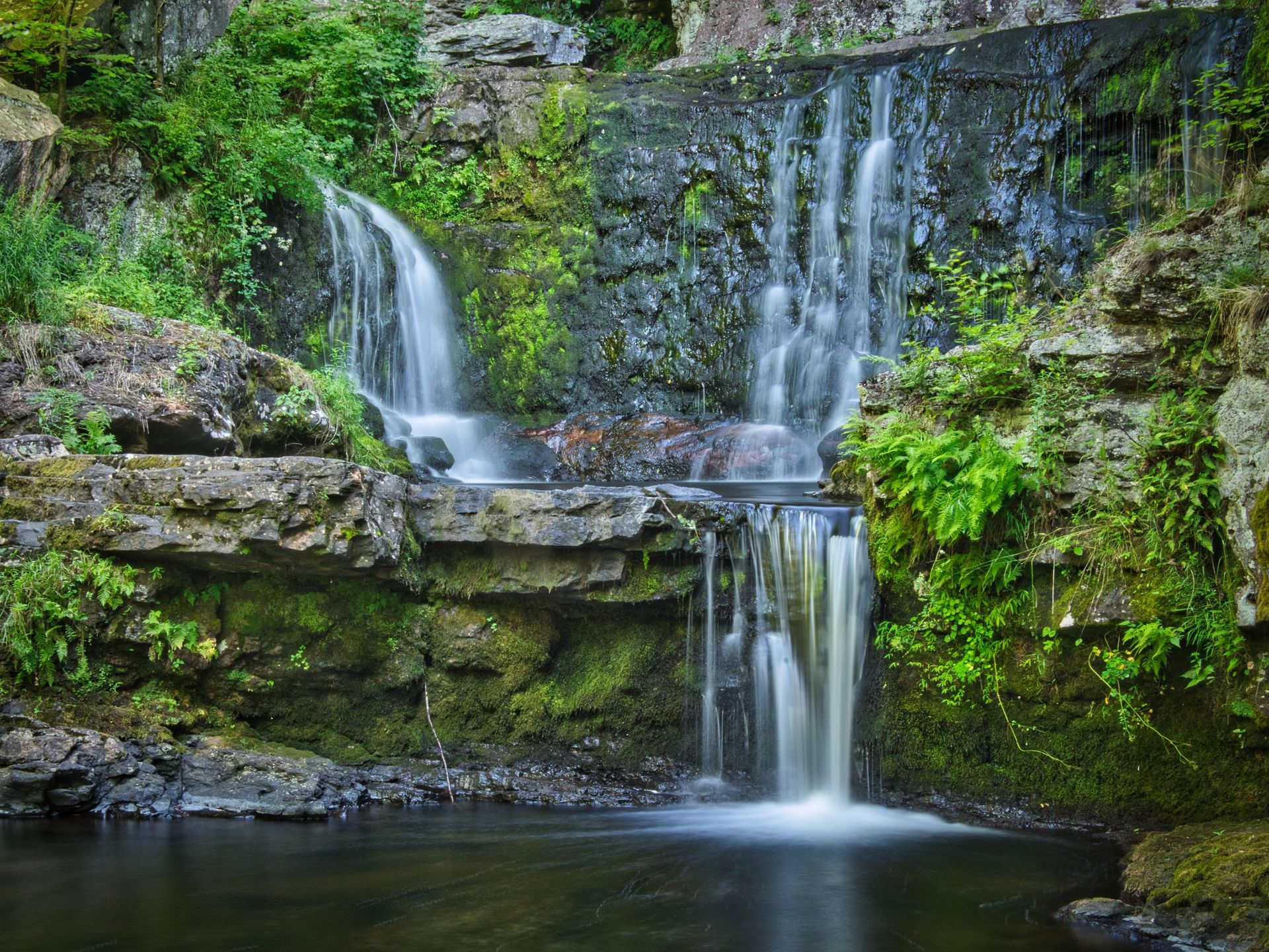 There is a waterfall in the middle of a forest surrounded by trees.