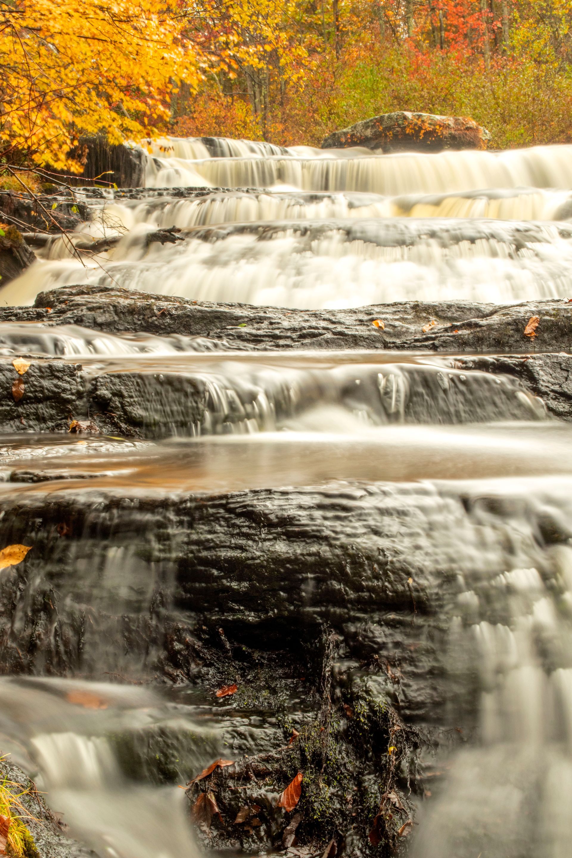 A waterfall in the middle of a forest with trees in the background.