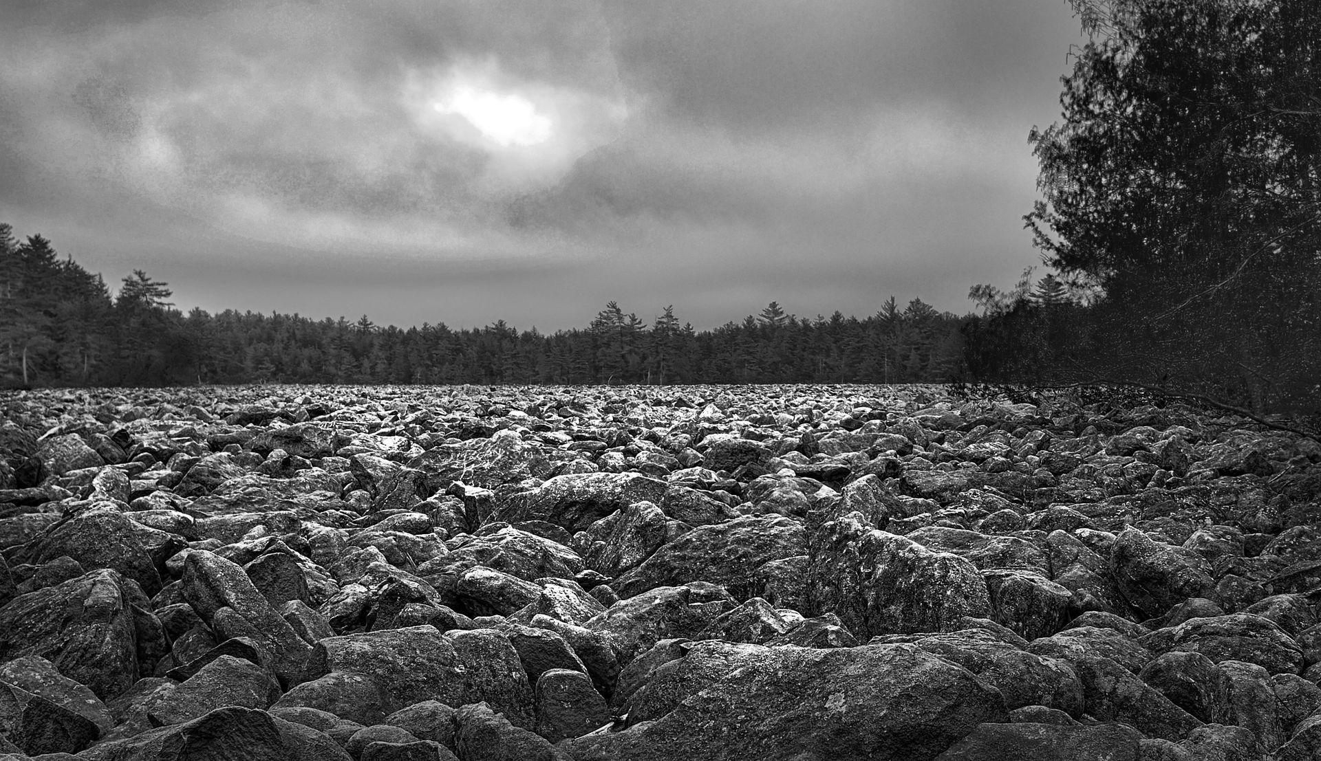 A black and white photo of a field with trees in the background