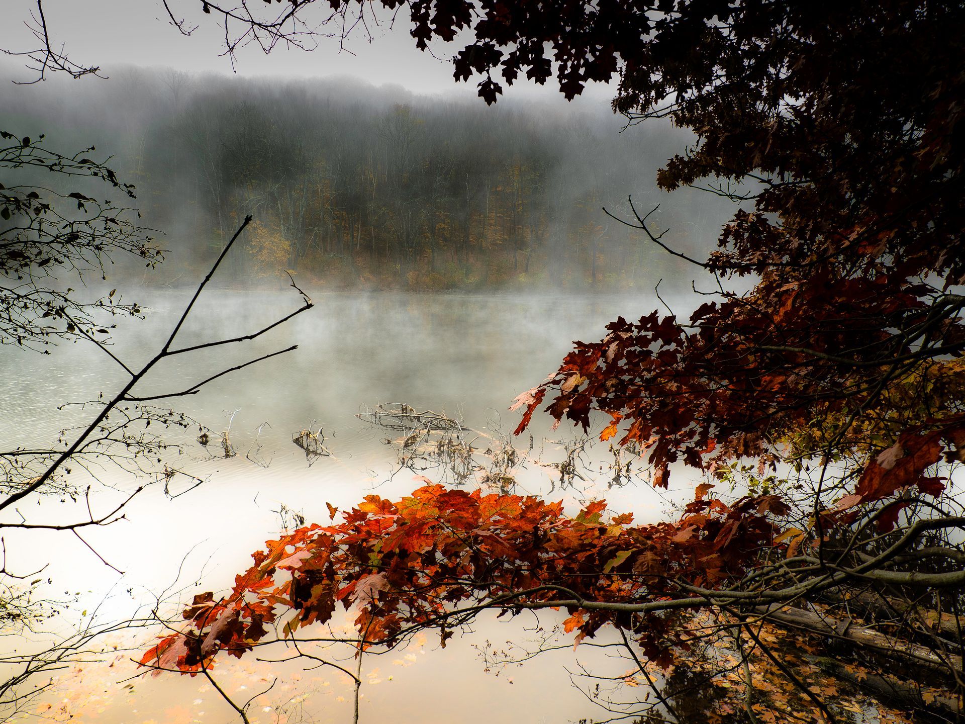A painting of a lake with trees in the foreground