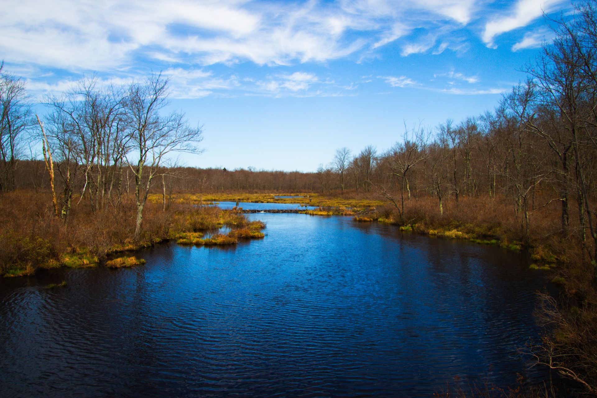 A large body of water surrounded by trees on a sunny day.