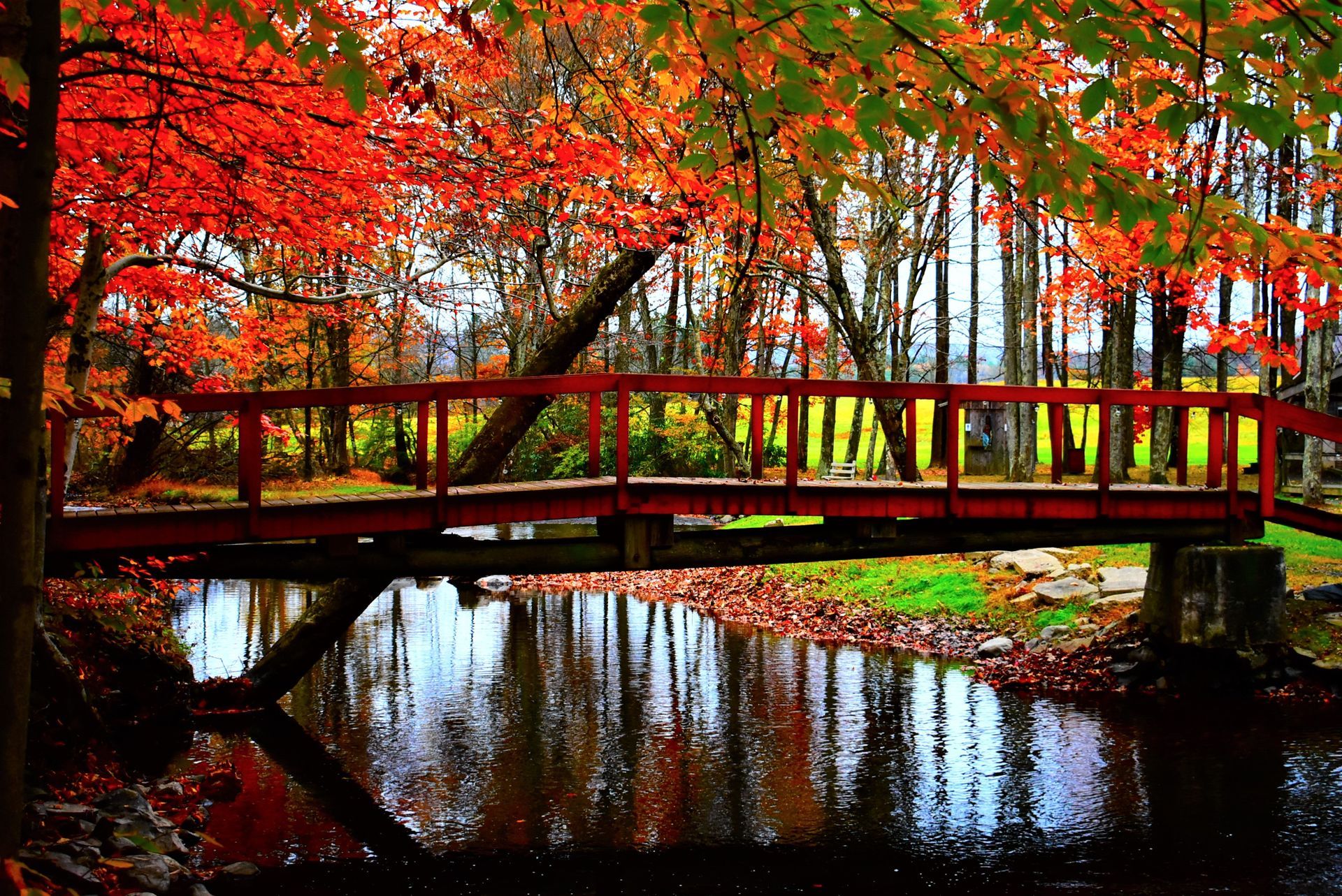 A bridge over a body of water with trees in the background
