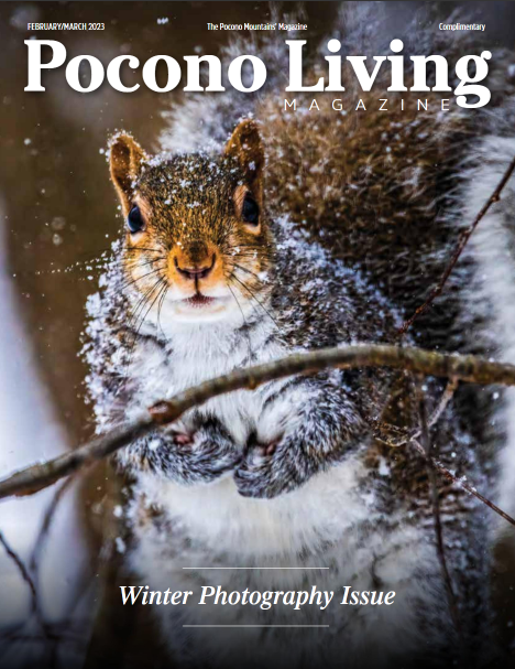 A squirrel is on the cover of a magazine called pocono living