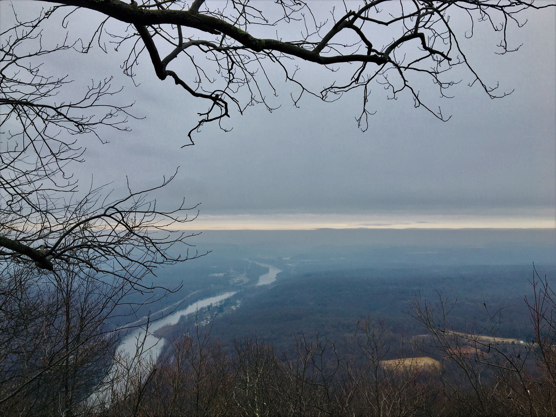 A view of a river surrounded by trees on a cloudy day