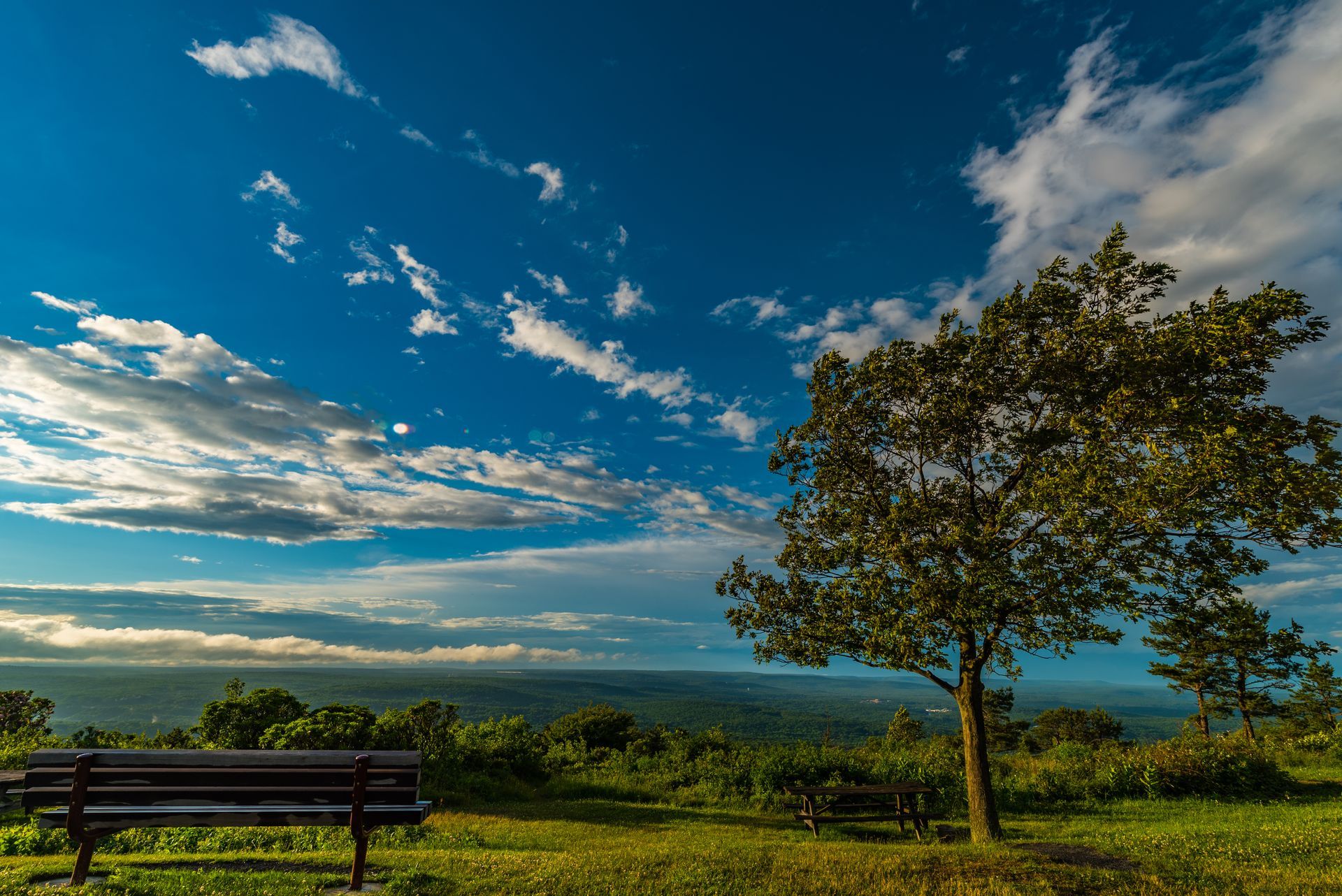 There is a bench and a tree in the foreground.