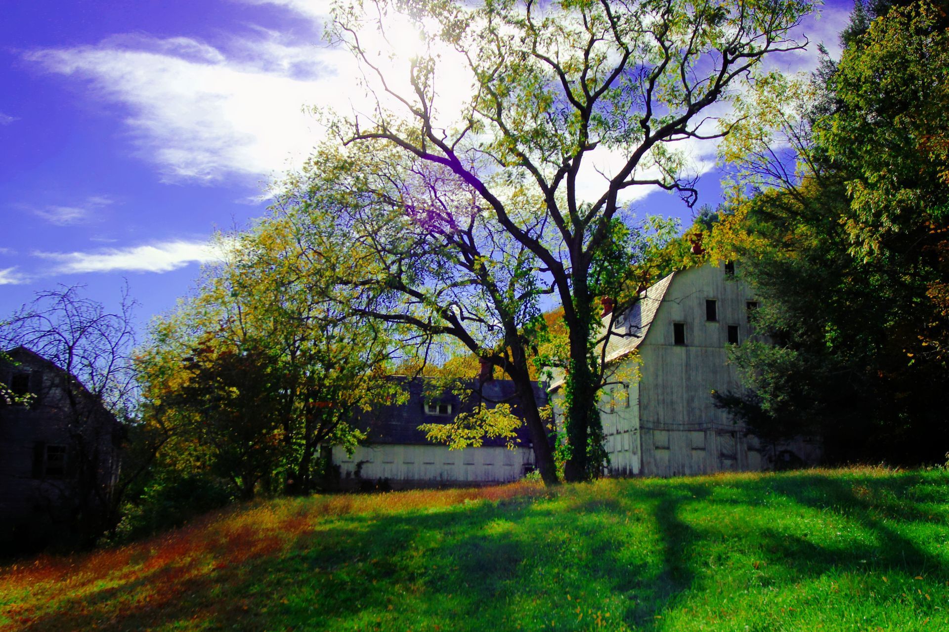 A white barn is surrounded by trees and grass on a sunny day