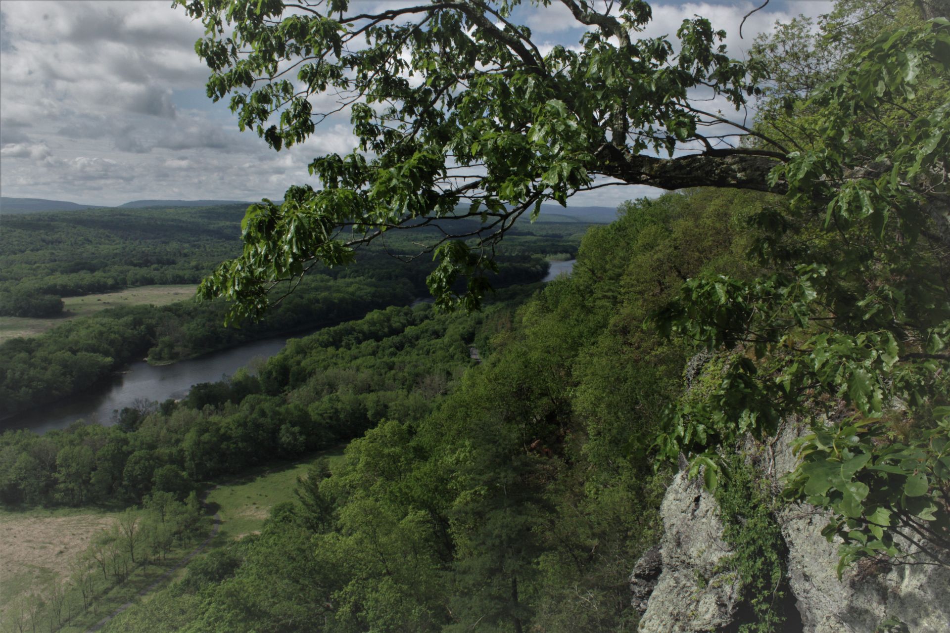 A view of a river surrounded by trees from a cliff.