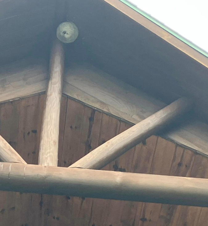 Roof with Bee Hive — Rockland, WI — Scenic Bluffs Pest Control