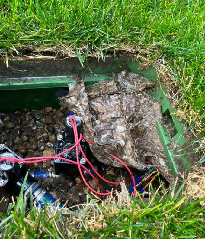 Irrigation System — Rockland, WI — Scenic Bluffs Pest Control