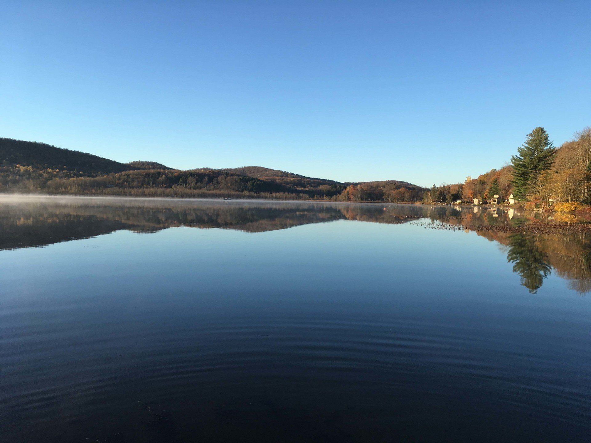 A large body of water with mountains in the background and trees on the shore.