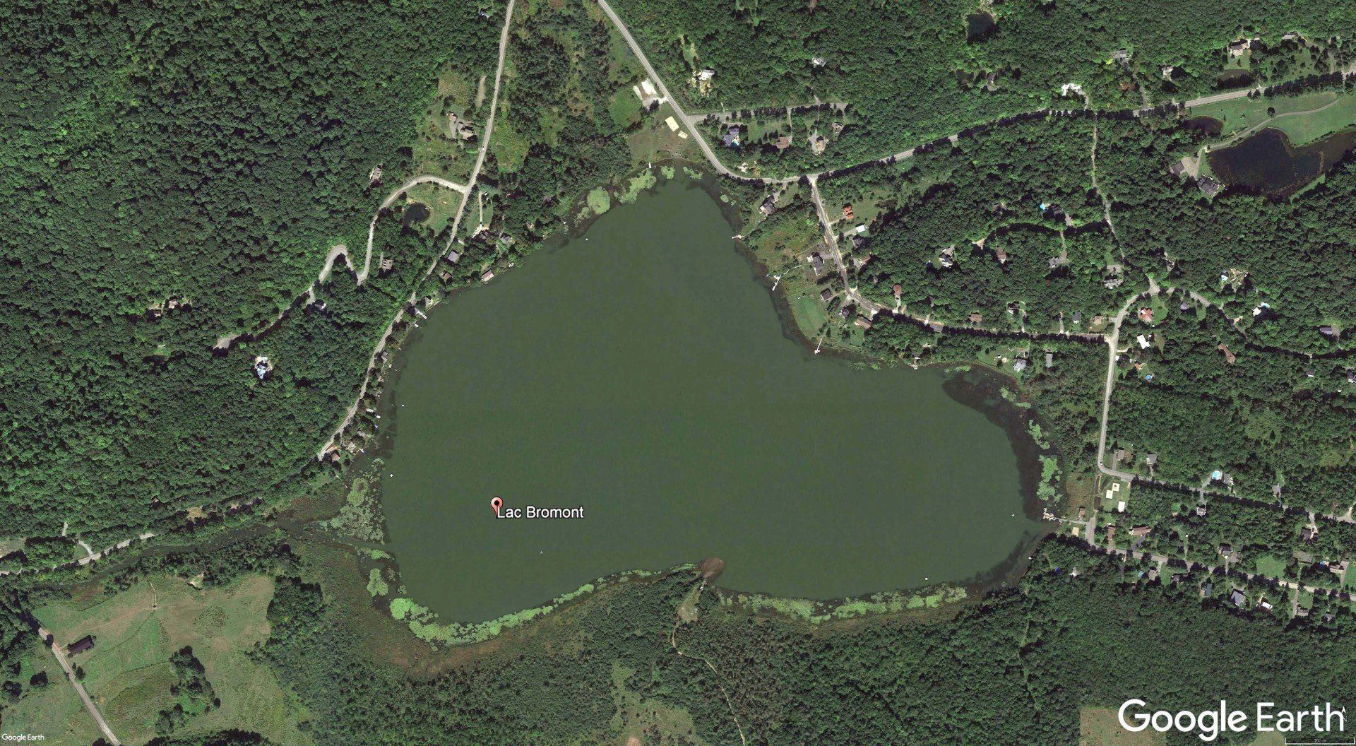 An aerial view of a large lake surrounded by trees.