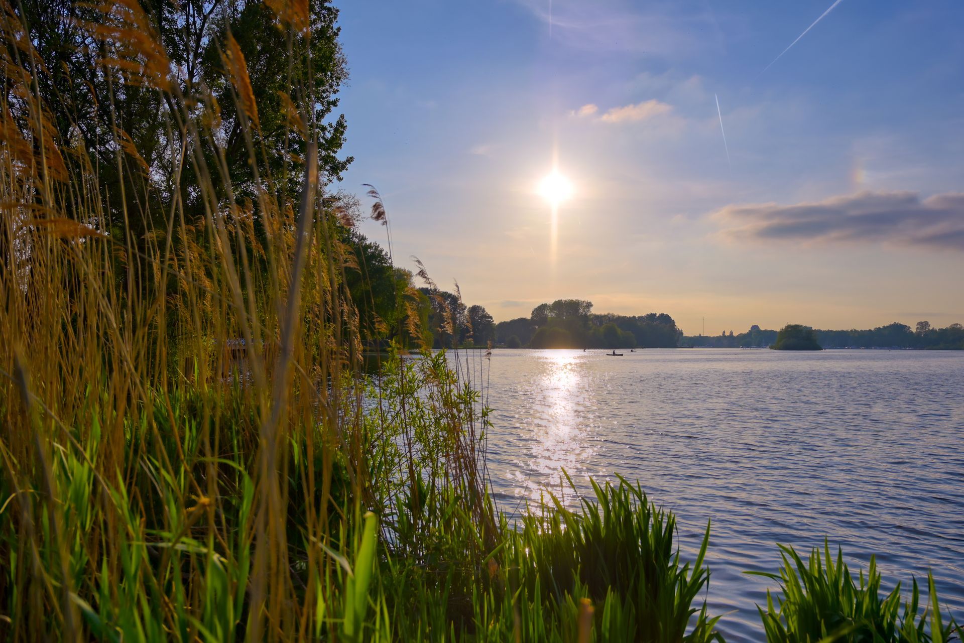Sun shining over a lake with reeds in the foreground, creating a warm, vibrant scene.