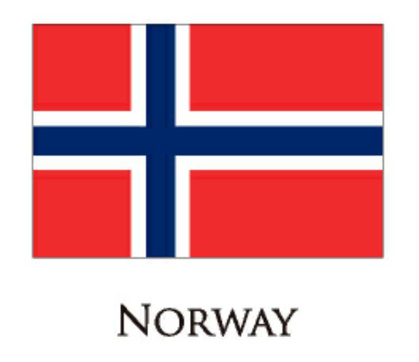 A red white and blue flag with the word norway below it