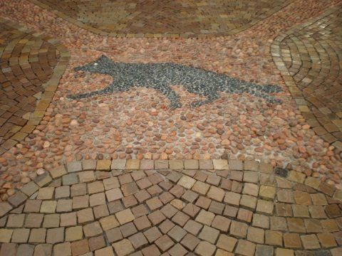 Pavimento con volpe disegnata