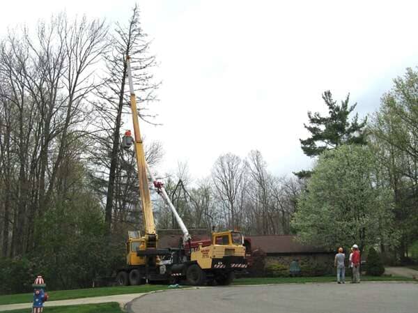 Tree Pruning — Crane Truck in Mansfield, OH